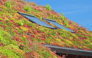 Gowthorpe living roof systems