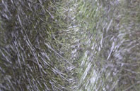 Gowthorpe fibreglass roof work